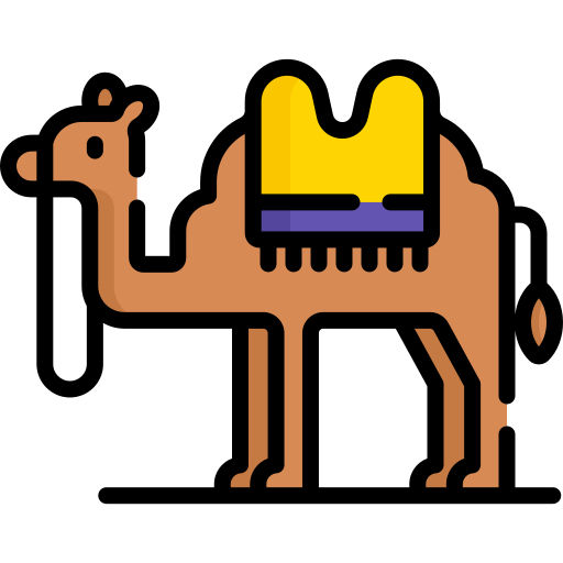camel.png