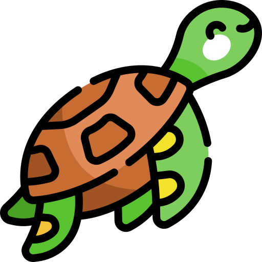 sea-turtle.png